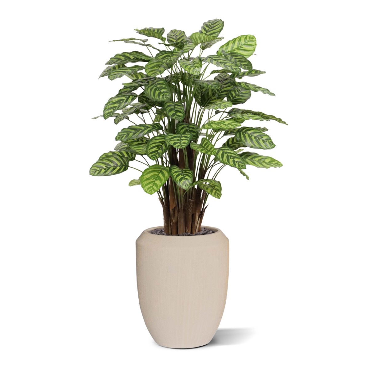 Calathea Makoyana kunstplant Deluxe 115cm