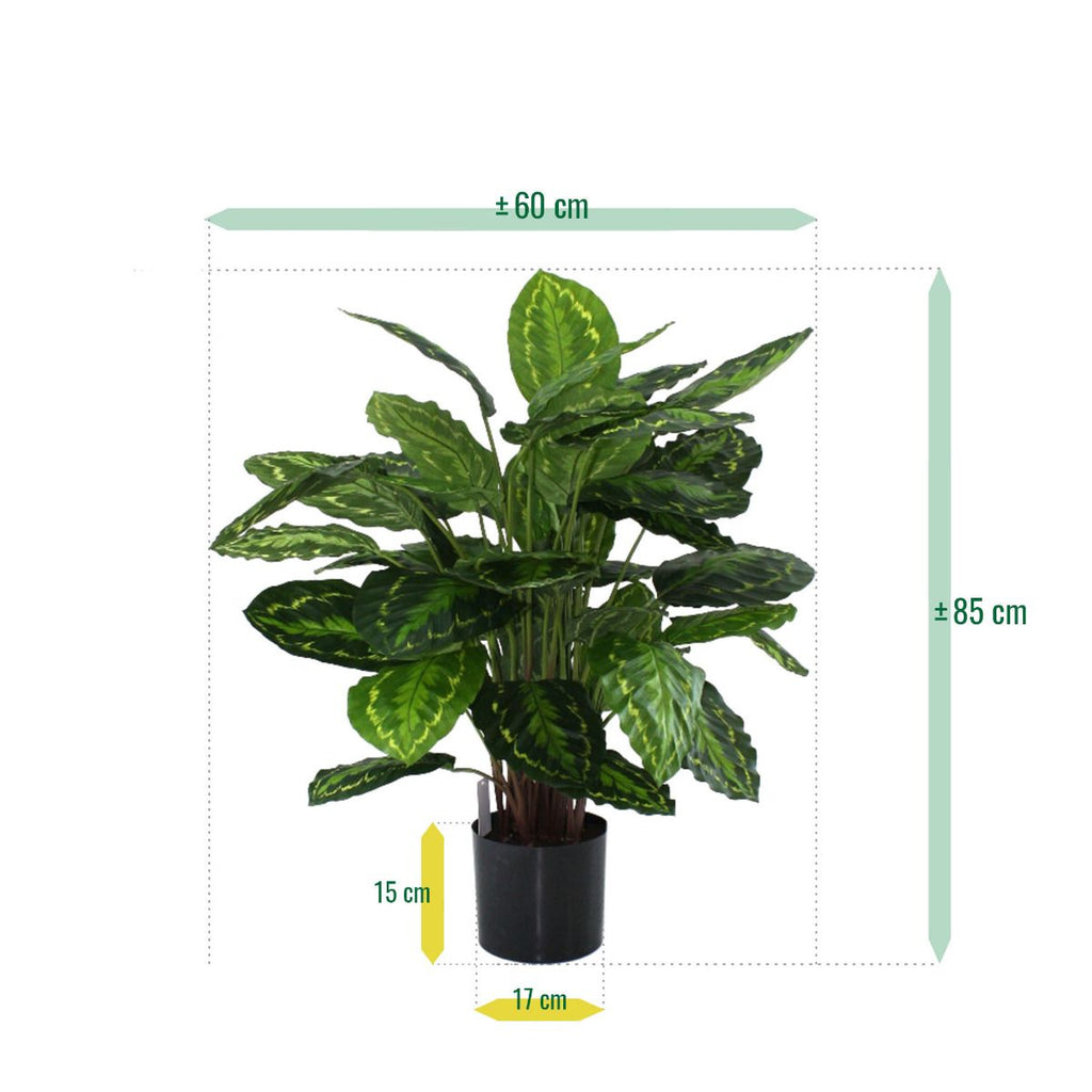Calathea Rosea Picta kunstplant 80cm