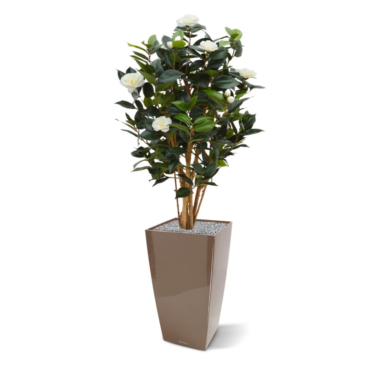 Camelia Japonica deluxe kunstplant 100cm - Creme / Roze