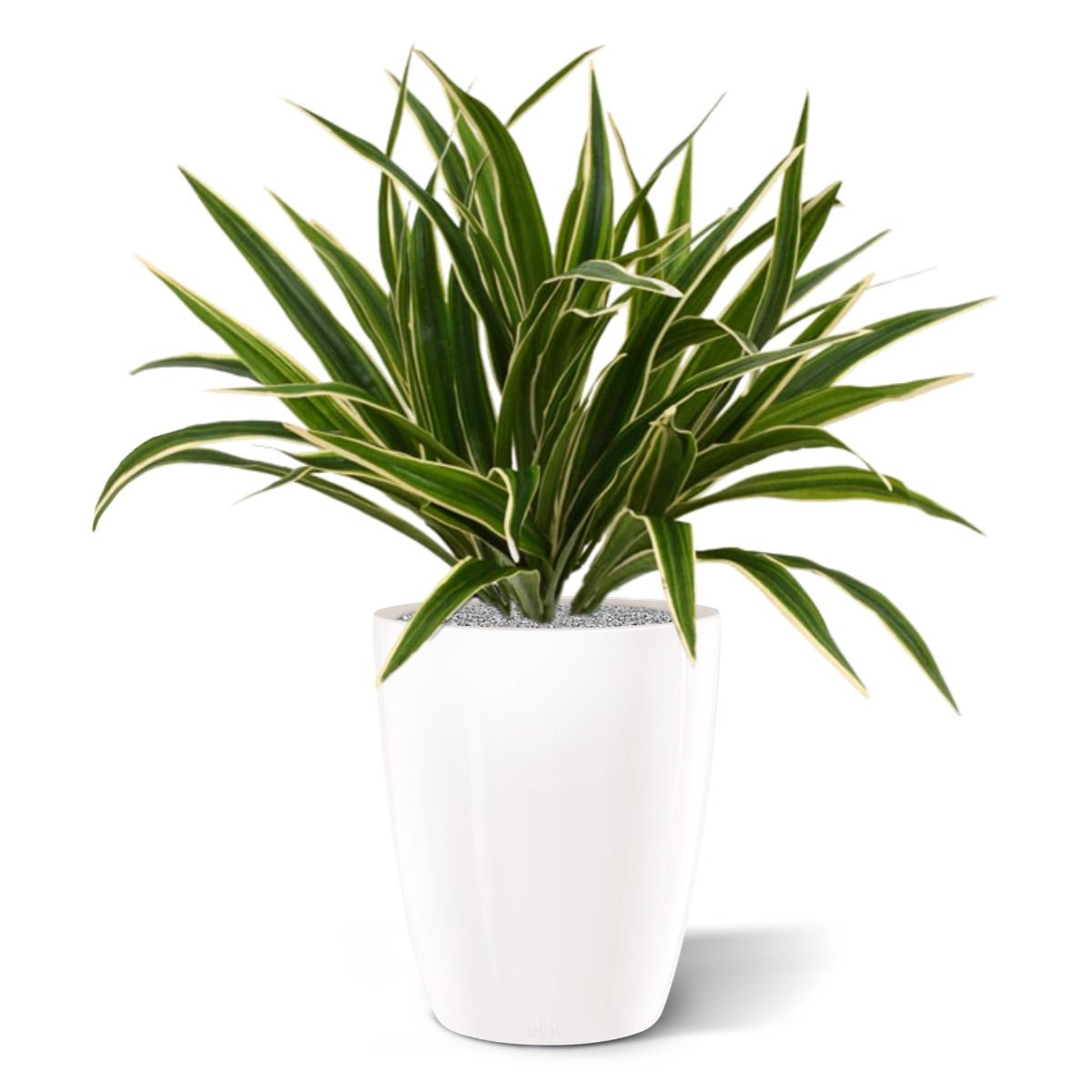 Chlorophytum S kunstplant 30cm in 10cm pot
