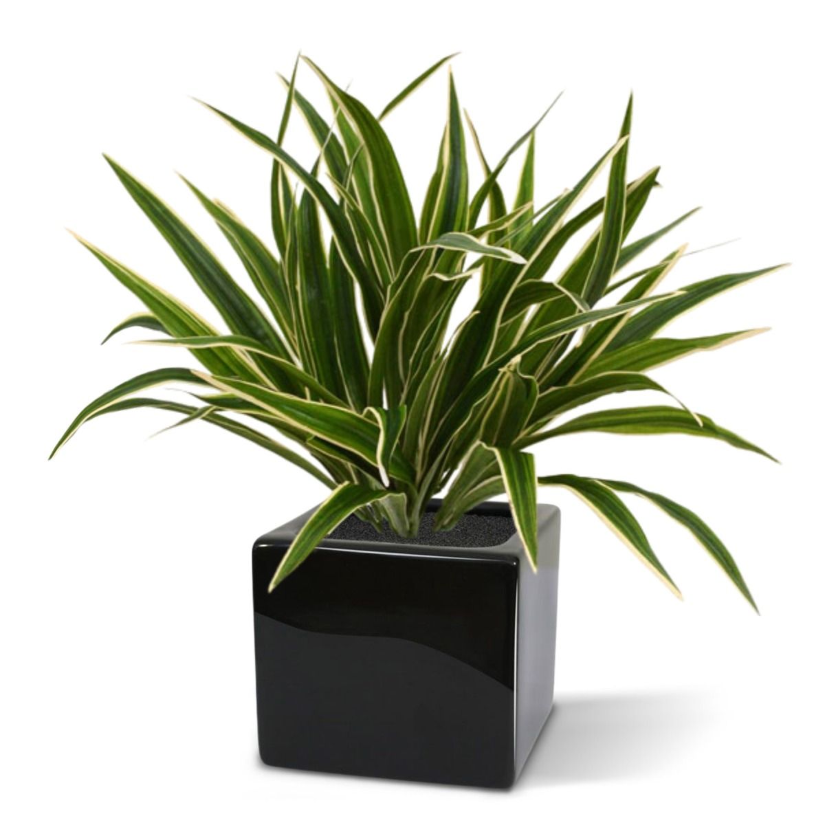 Chlorophytum S kunstplant 30cm in 10cm pot