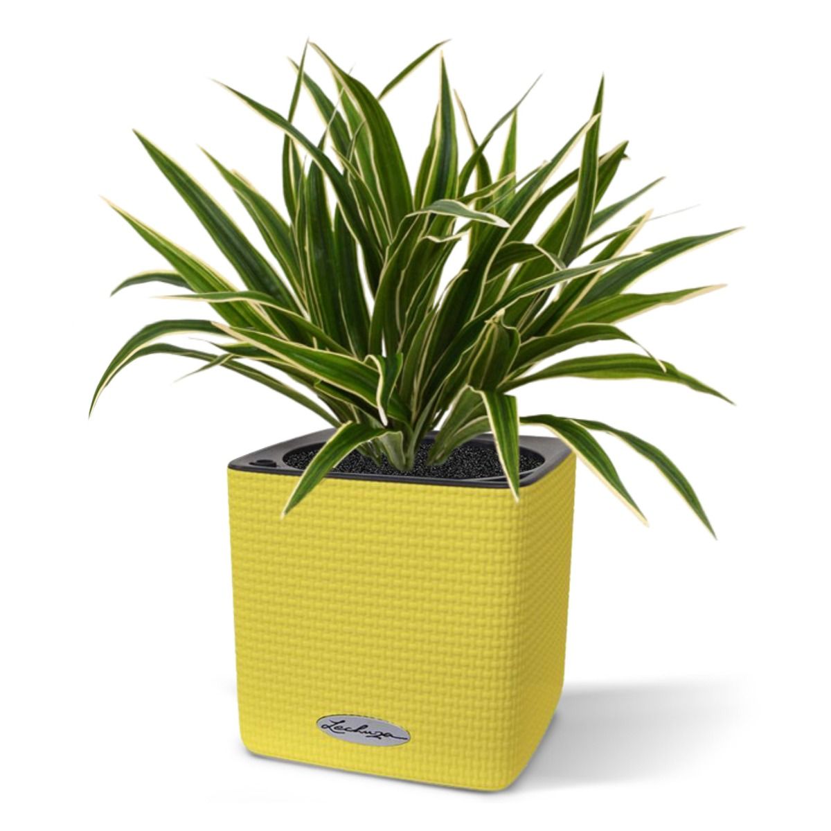 Chlorophytum S kunstplant 30cm in 10cm pot
