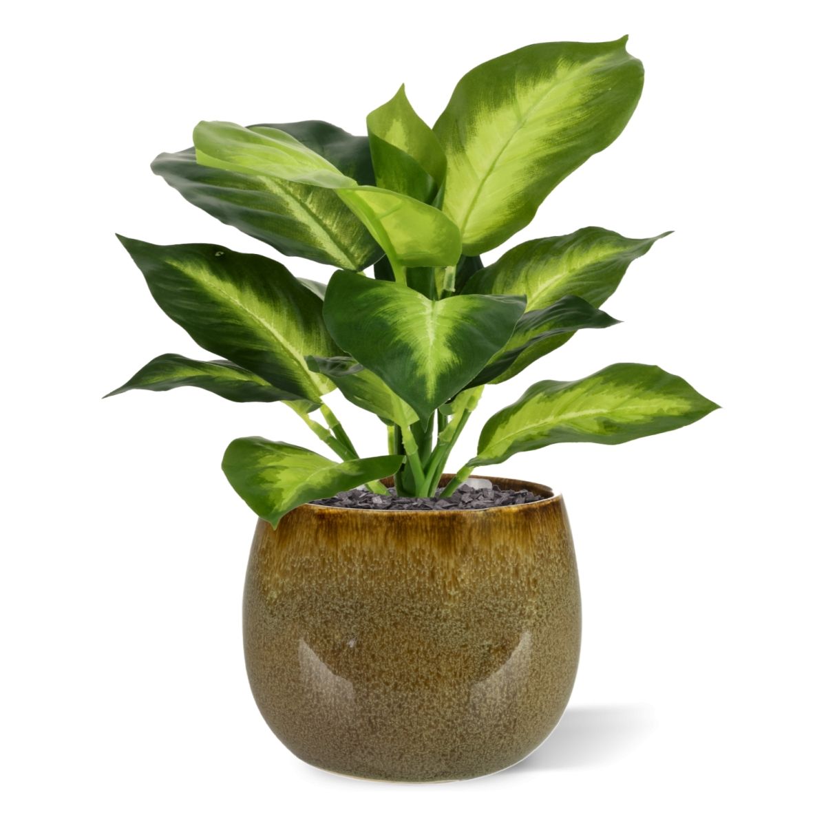 Dieffenbachia Kunstplant 25cm