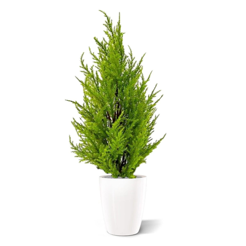 Conifeer kunstplant 45cm - geel/groen