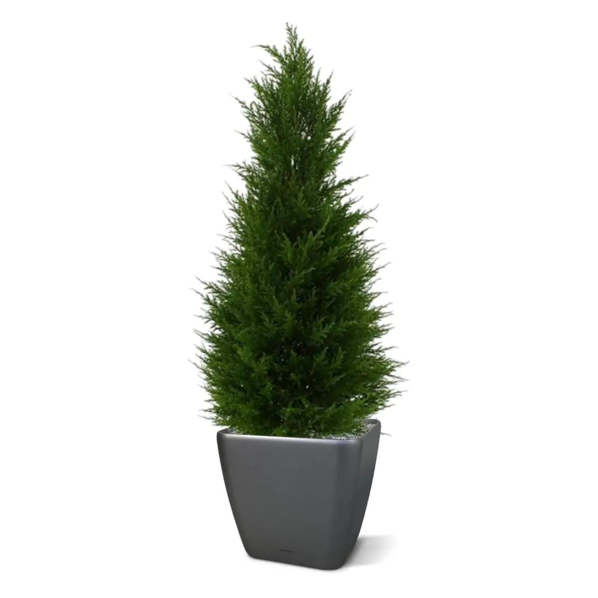 Outdoor Artificial Conifer tree 100 cm UV protected
