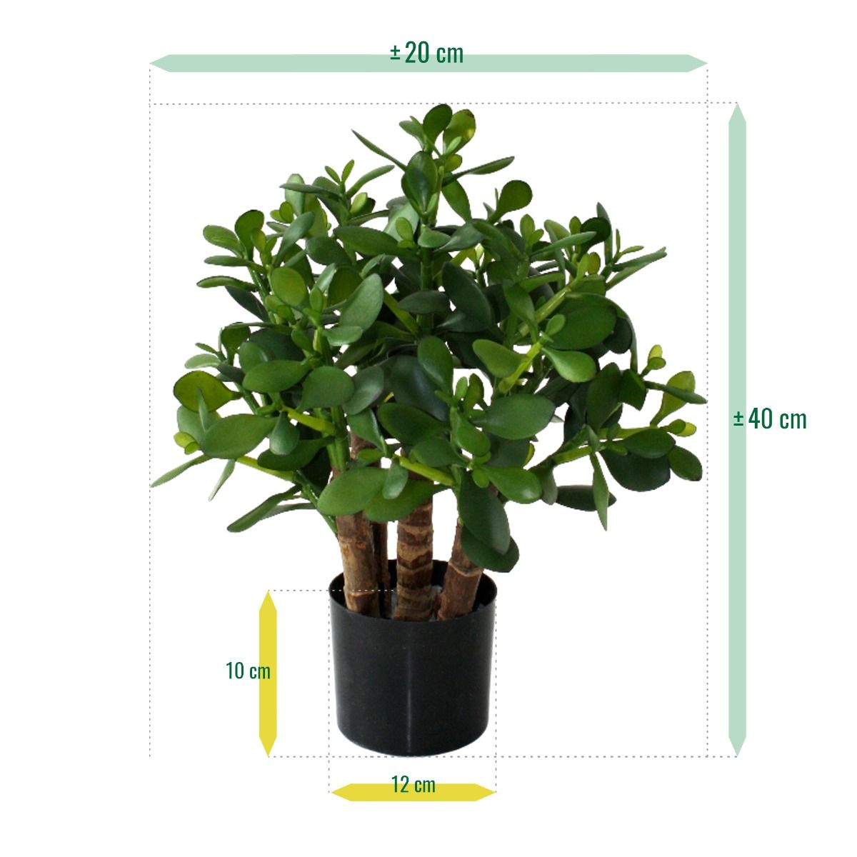 Crassula kunst vetplant 40cm