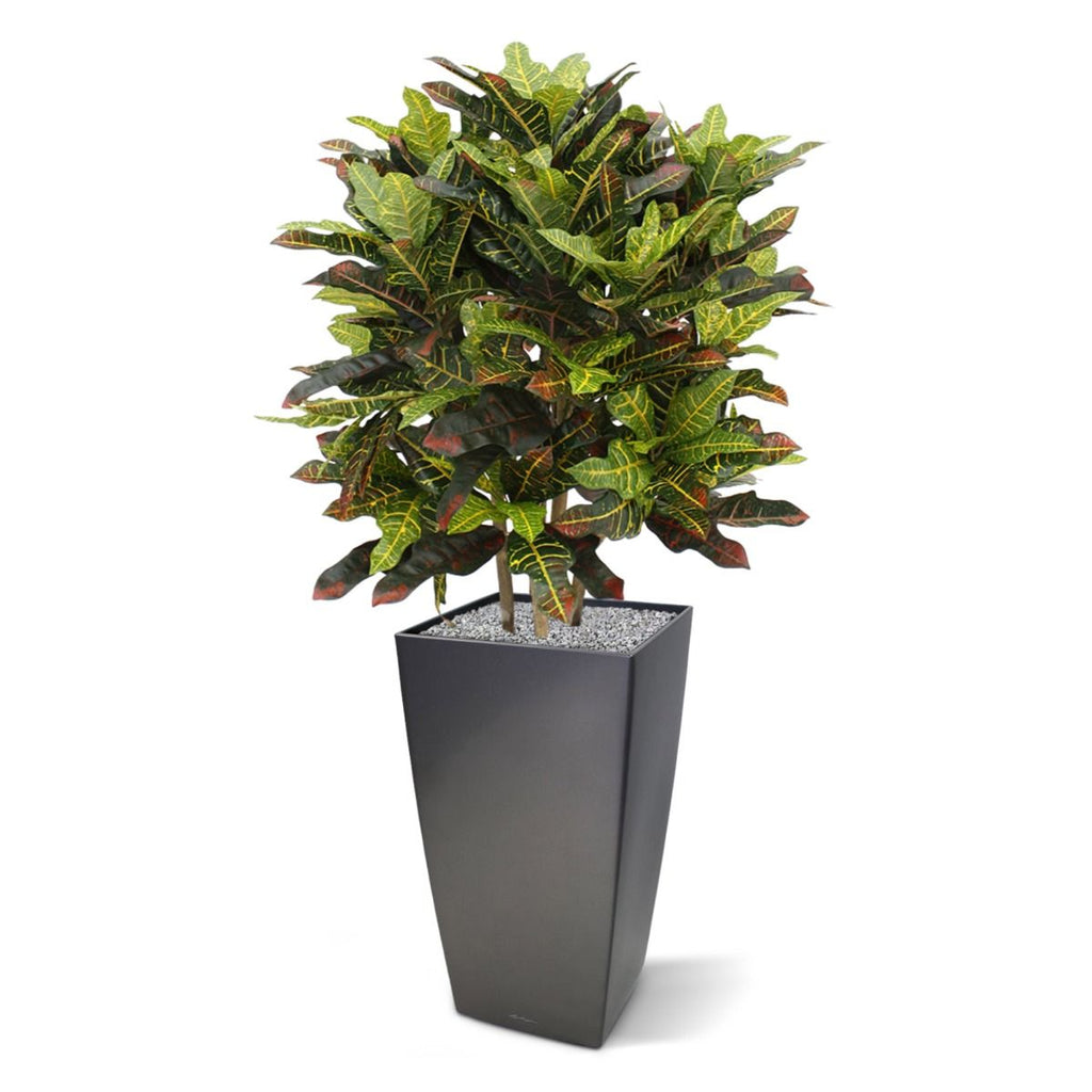 Croton deluxe XL kunstplant 90cm