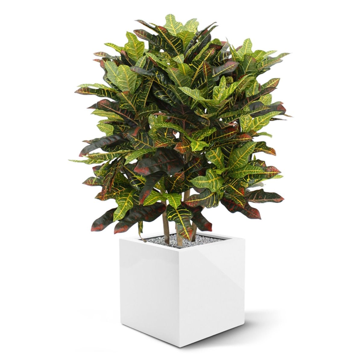 Croton deluxe XL kunstplant 90cm