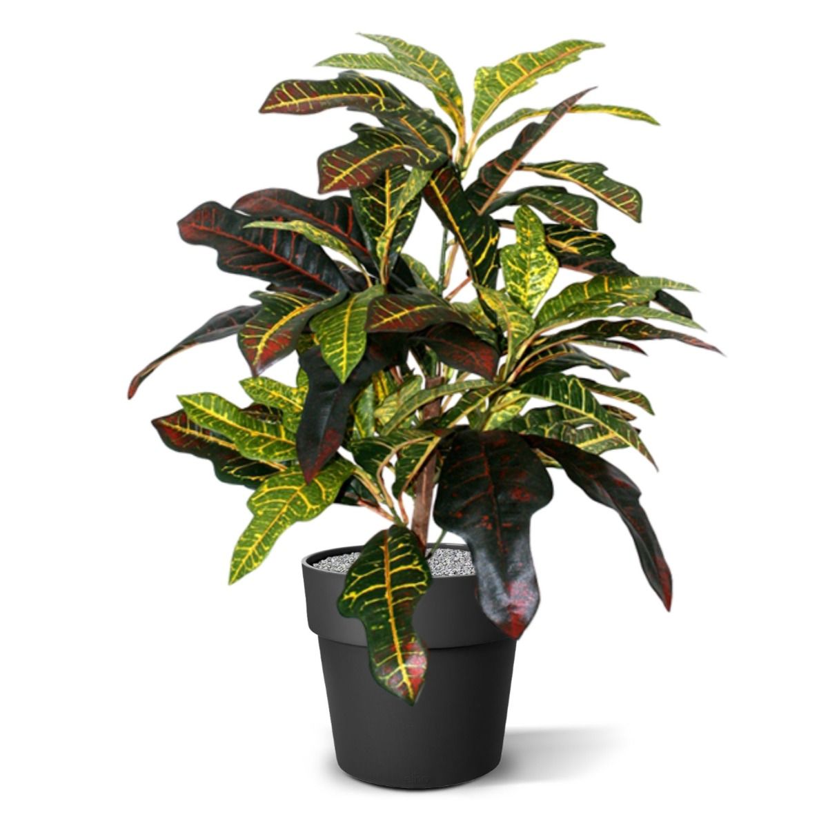 Croton Window kunstplant 50cm