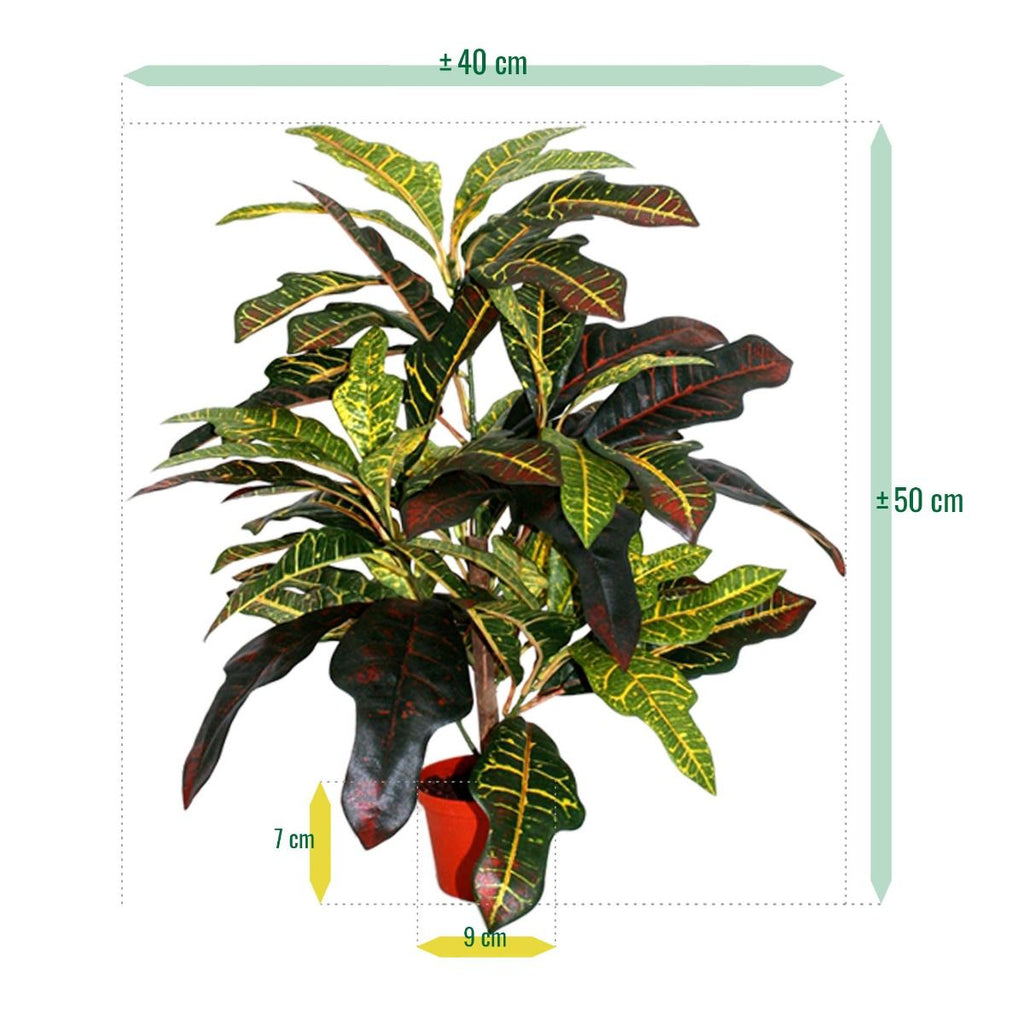 Croton Window kunstplant 50cm