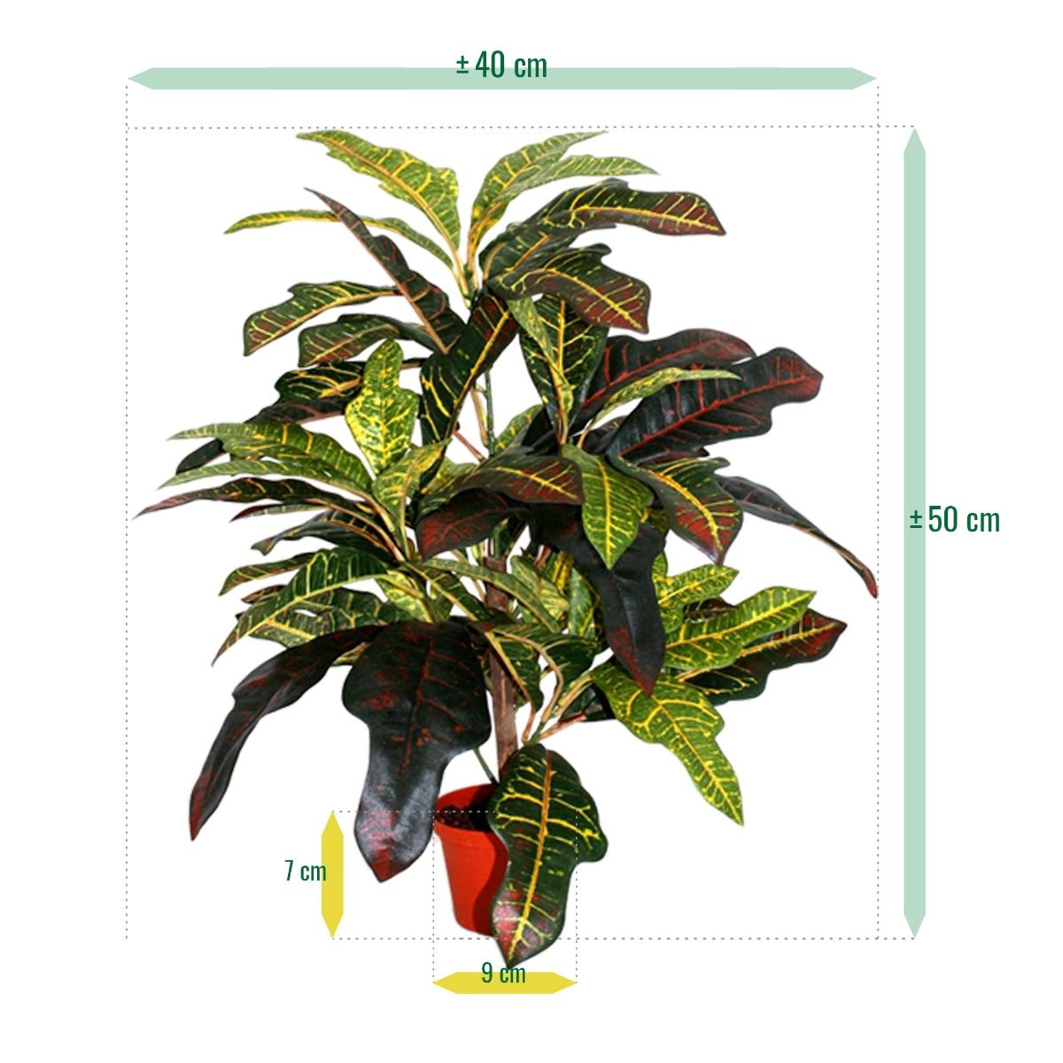 Croton Window kunstplant 50cm