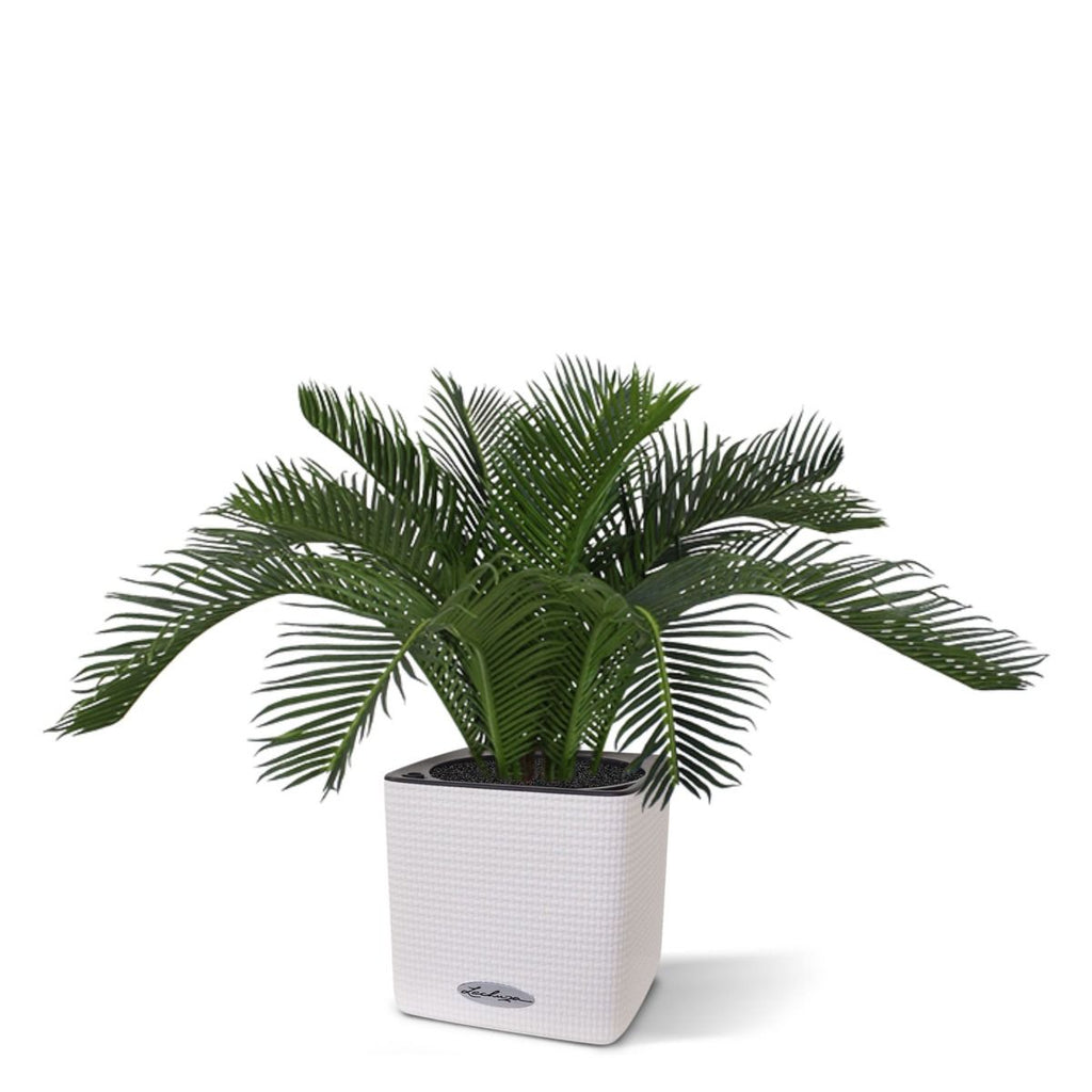 Cycas Baby kunstpalm 45cm - N