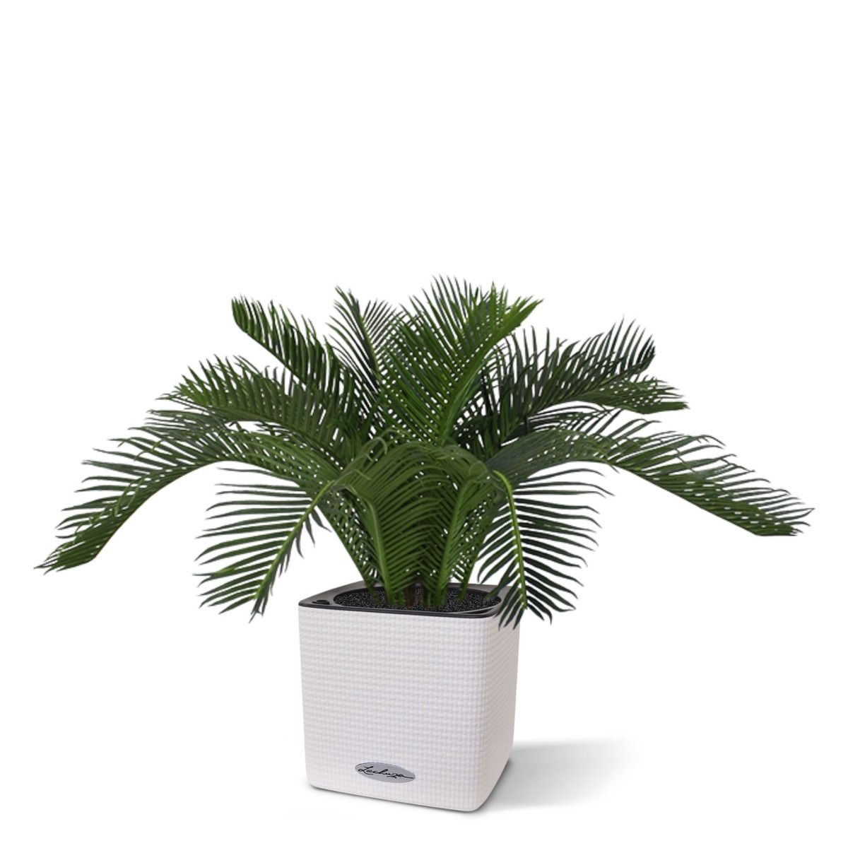 Cycas Baby kunstpalm 45cm - N