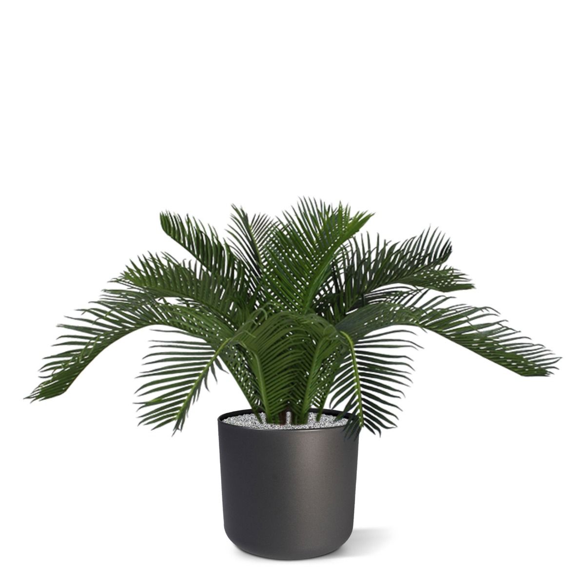 Cycas Baby kunstpalm 45cm - N
