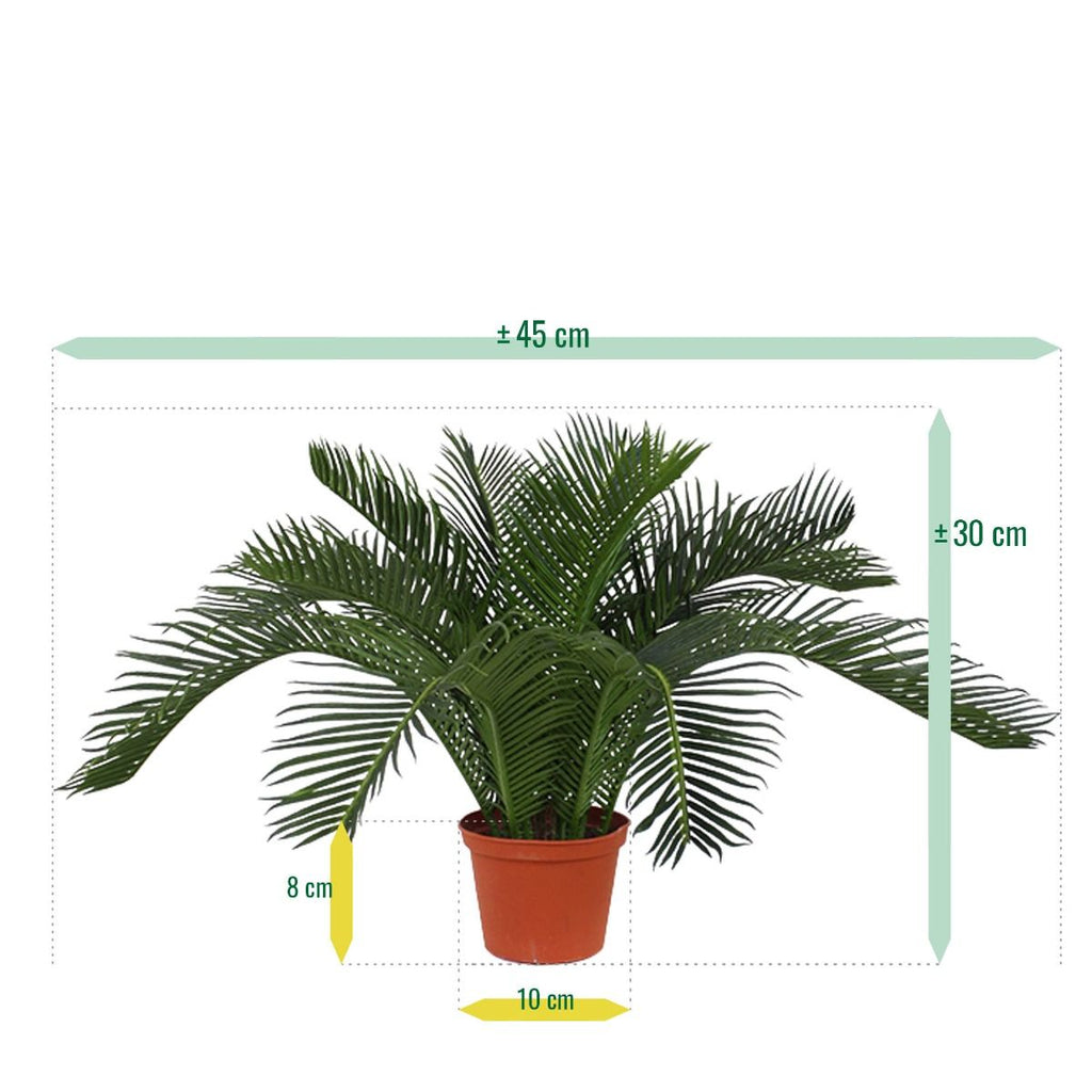 Cycas Baby kunstpalm 45cm - N