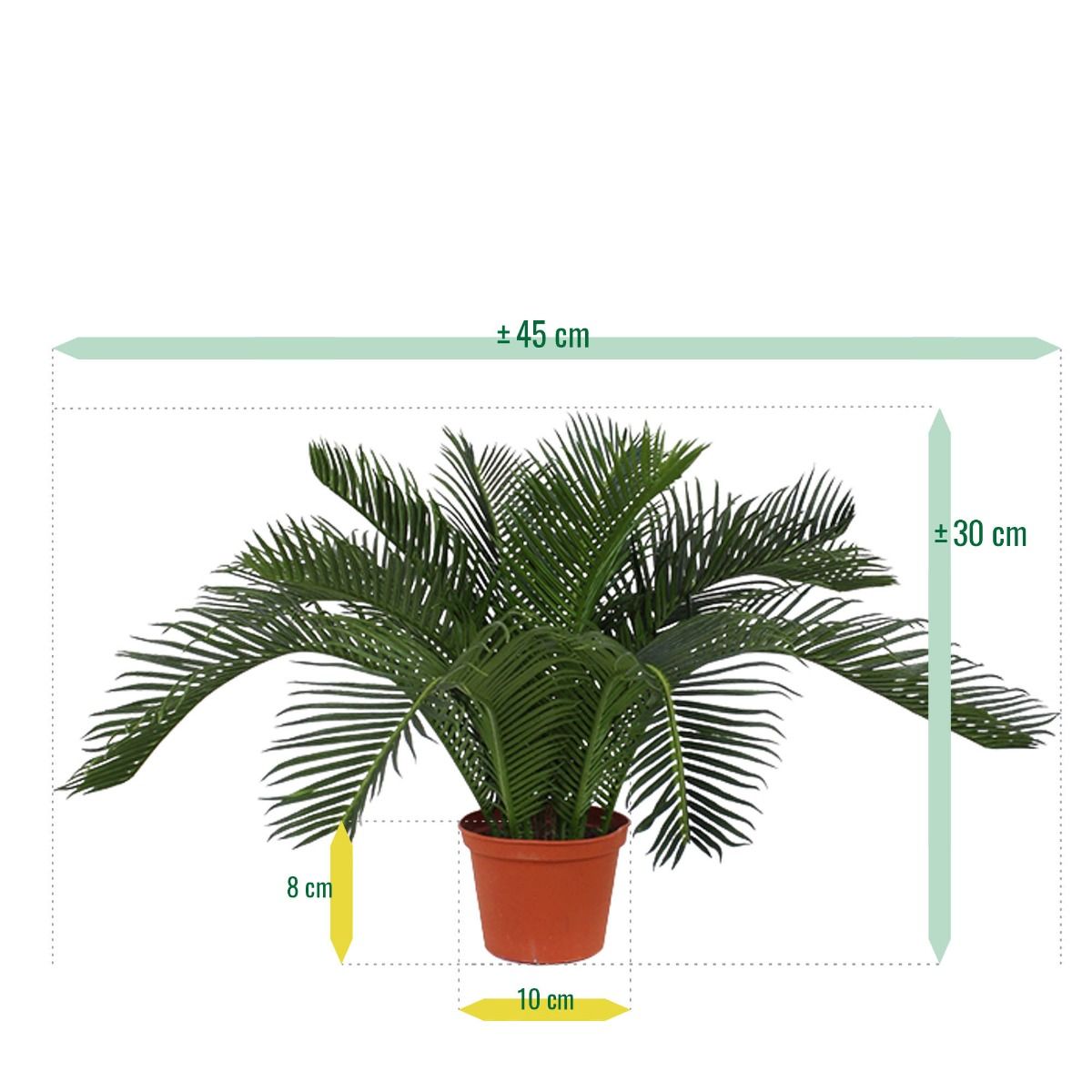 Cycas Baby kunstpalm 45cm - N