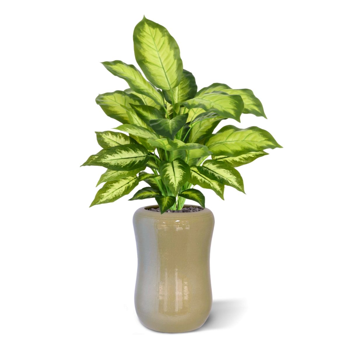Dieffenbachia Kunstplant 55cm