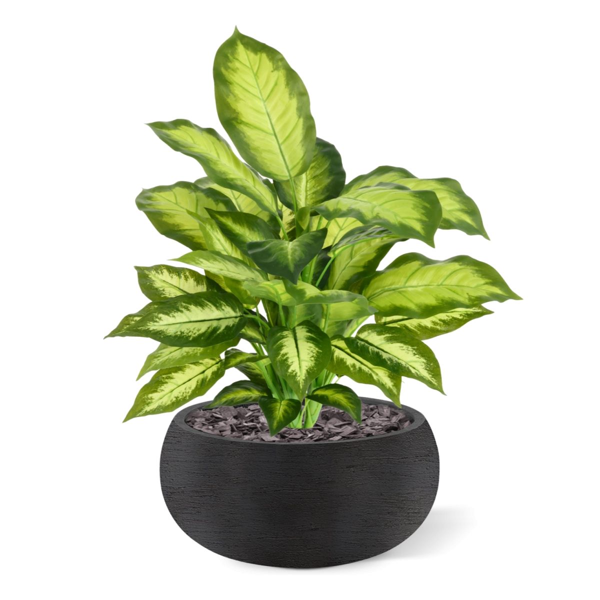 Dieffenbachia Kunstplant 55cm
