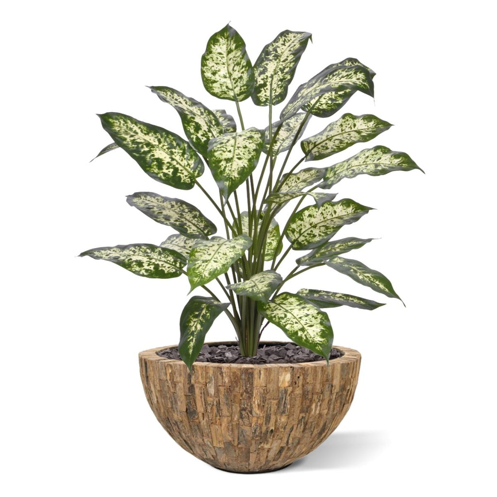 Dieffenbachia Kunstplant 75cm Deluxe