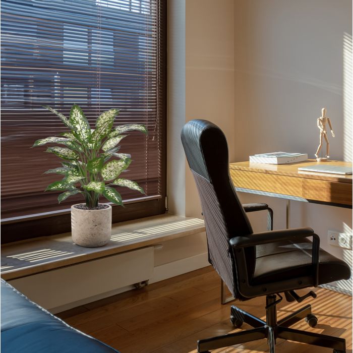 Dieffenbachia Kunstplant Deluxe 60cm in pot