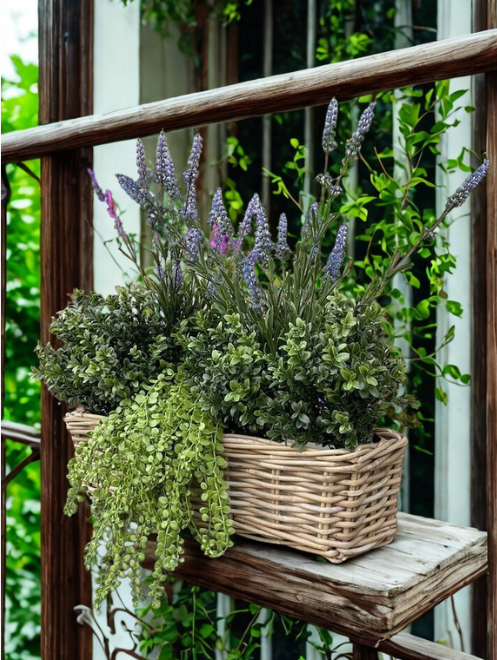 Dischidia nummularia kunst hangplant 40cm UV