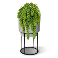 Sedum Donkey tail kunstplant 30cm