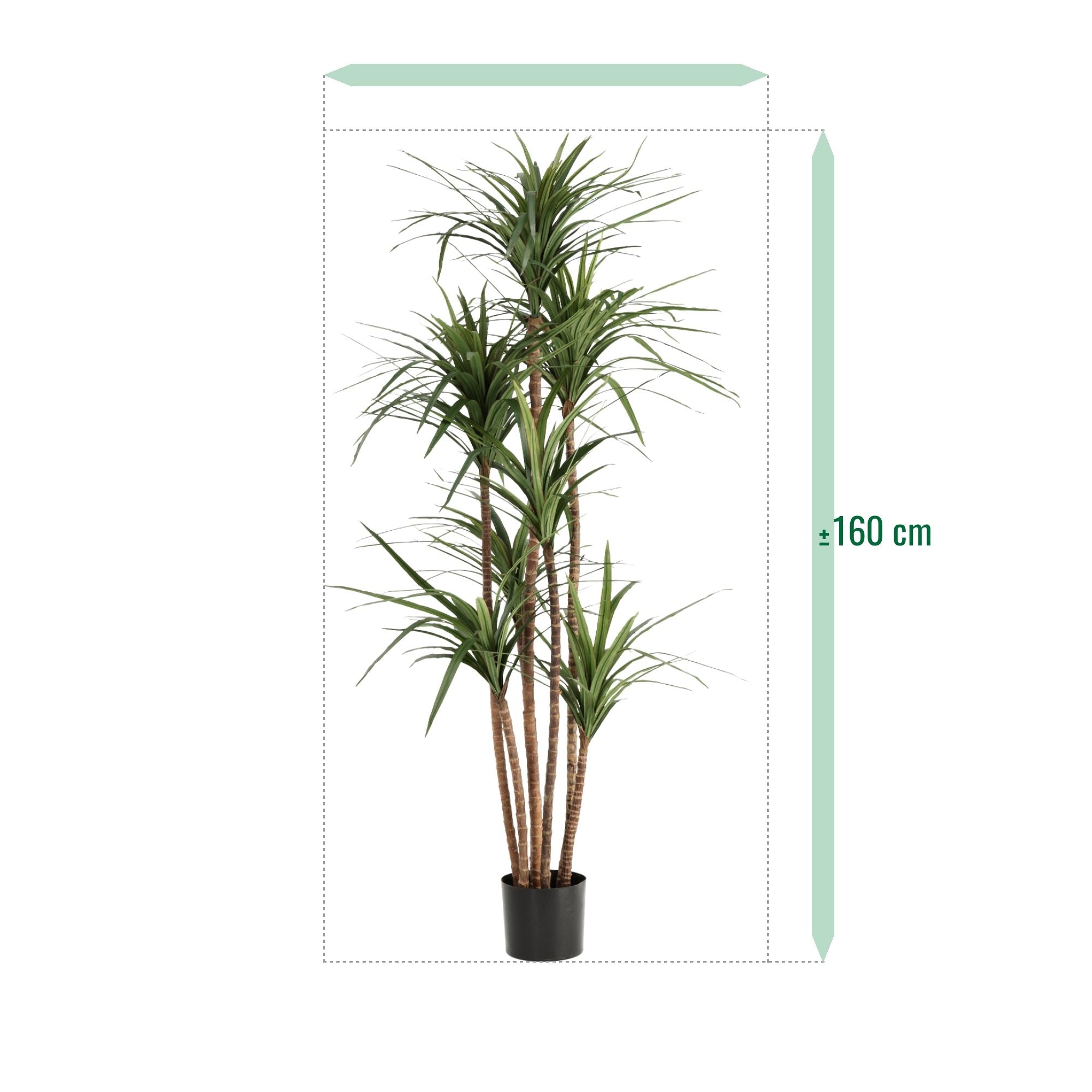 Draceana Marginata Kunstplant Deluxe 160cm