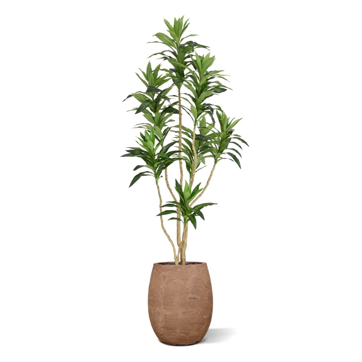 Draceana Reflexa Kunstplant groen 120cm RT