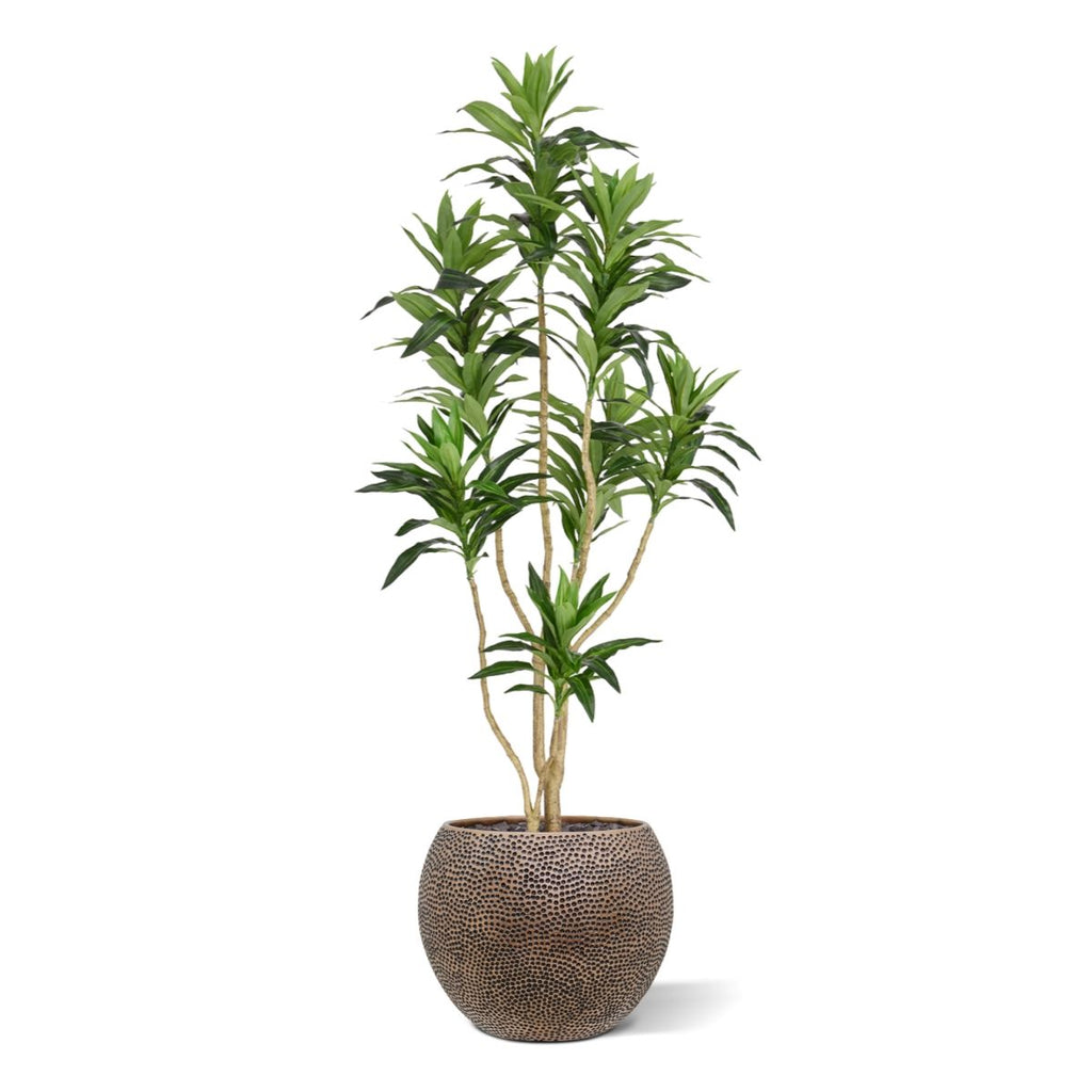 Draceana Reflexa Kunstplant groen 120cm RT