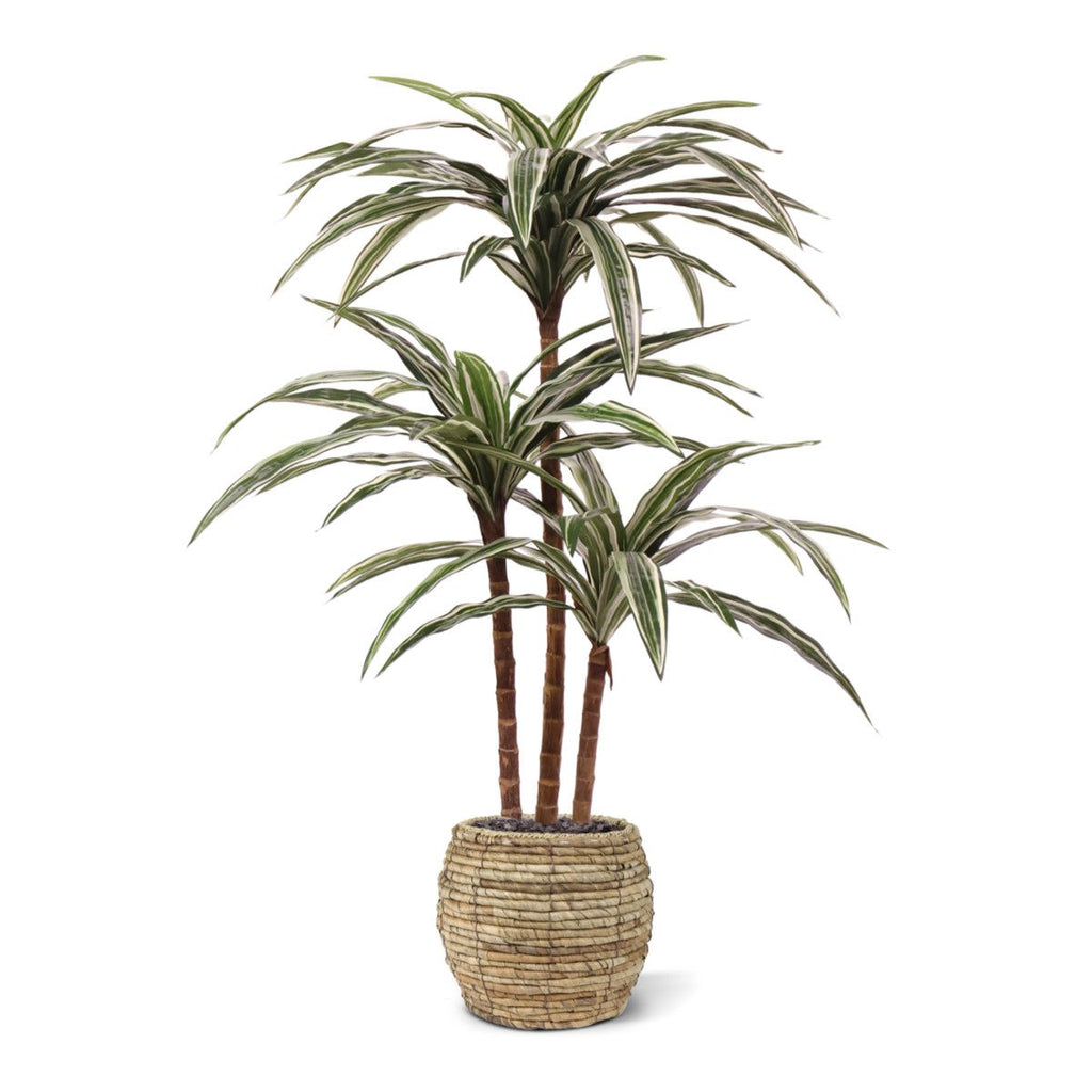 Draceana Deluxe kunstplant groen-bont 95cm