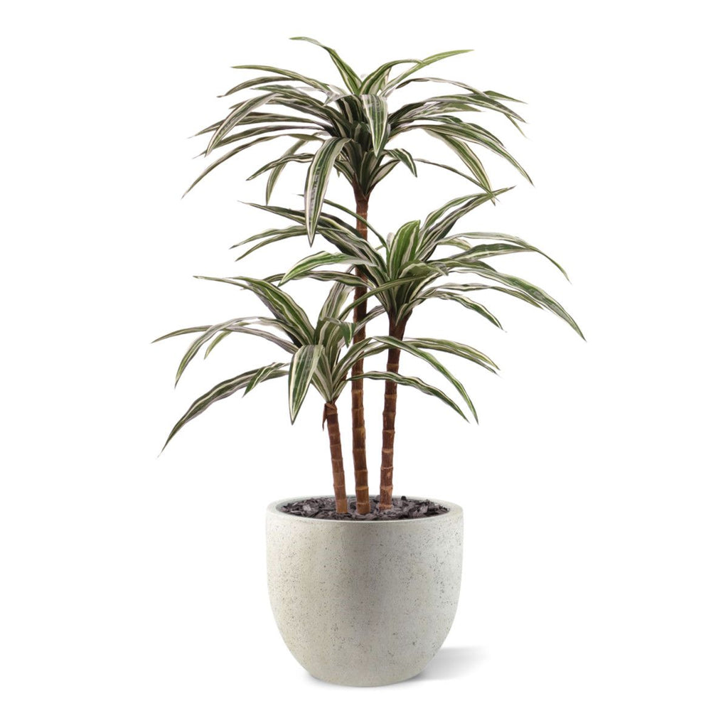 Draceana Deluxe kunstplant groen-bont 95cm