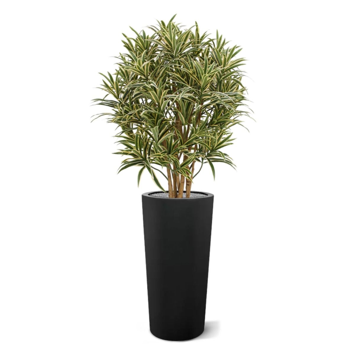 Draceana Reflexa kunstplant 100cm
