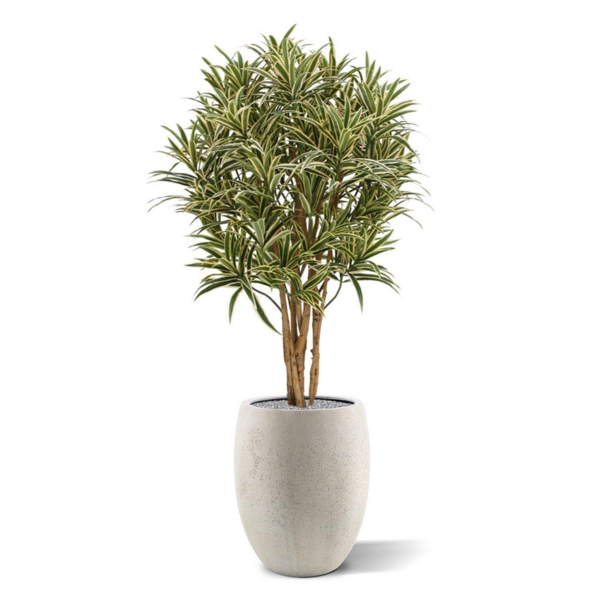 Draceana Reflexa kunstplant 100cm