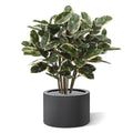Elastica Robusta kunstplant 100cm
