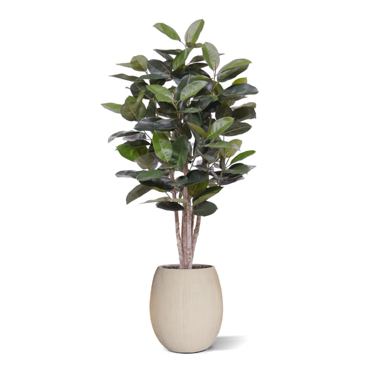 Elastica Robusta kunstplant 170cm groen