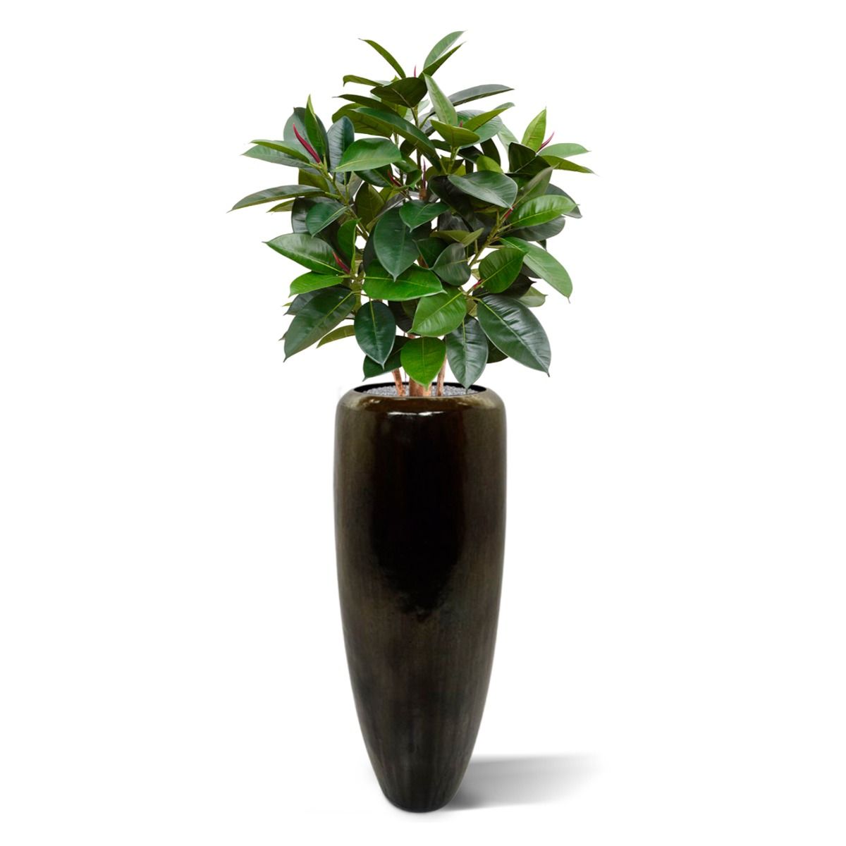 Elastica Robusta kunstplant 90cm - FR - brandvertragend
