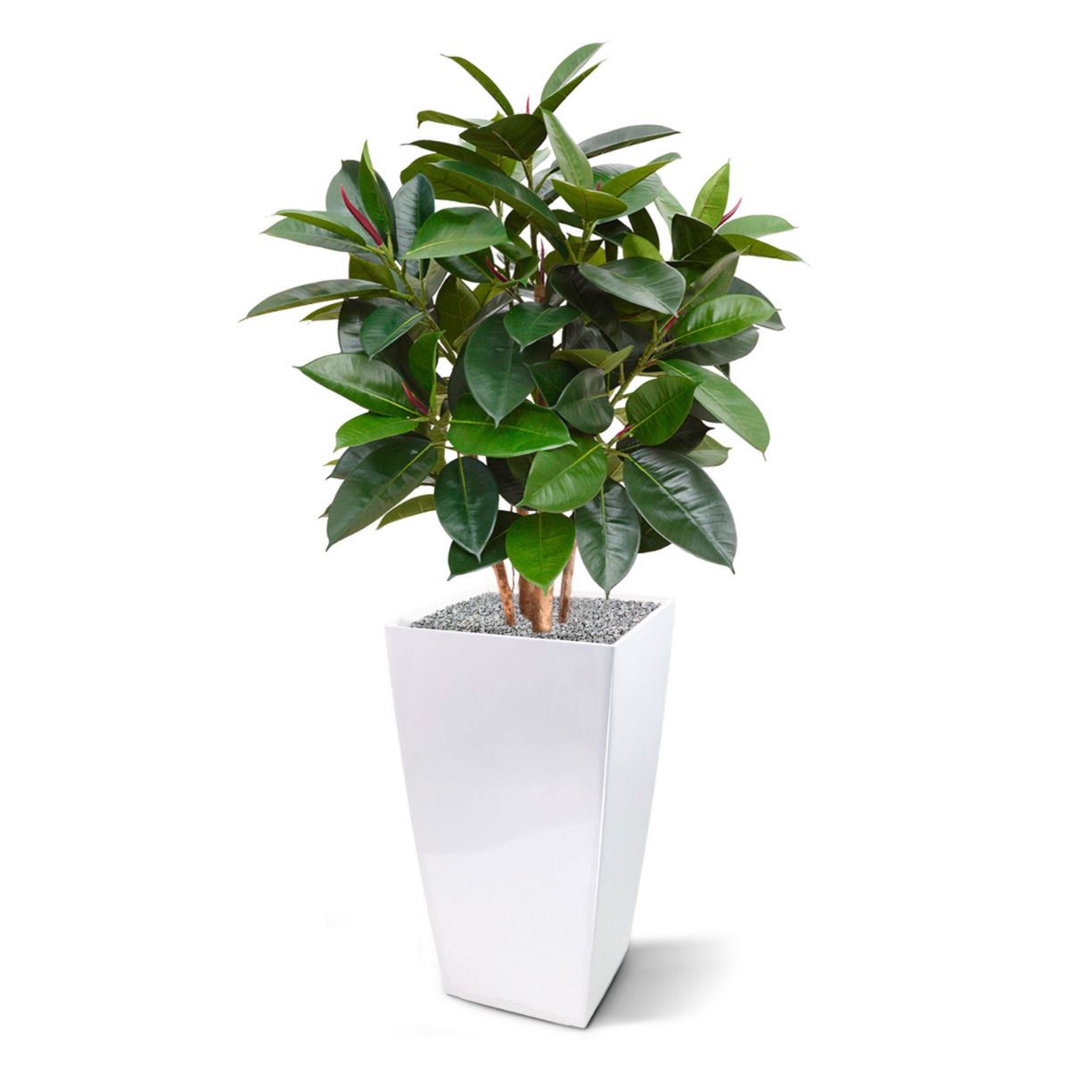 Elastica Robusta kunstplant 90cm - groen