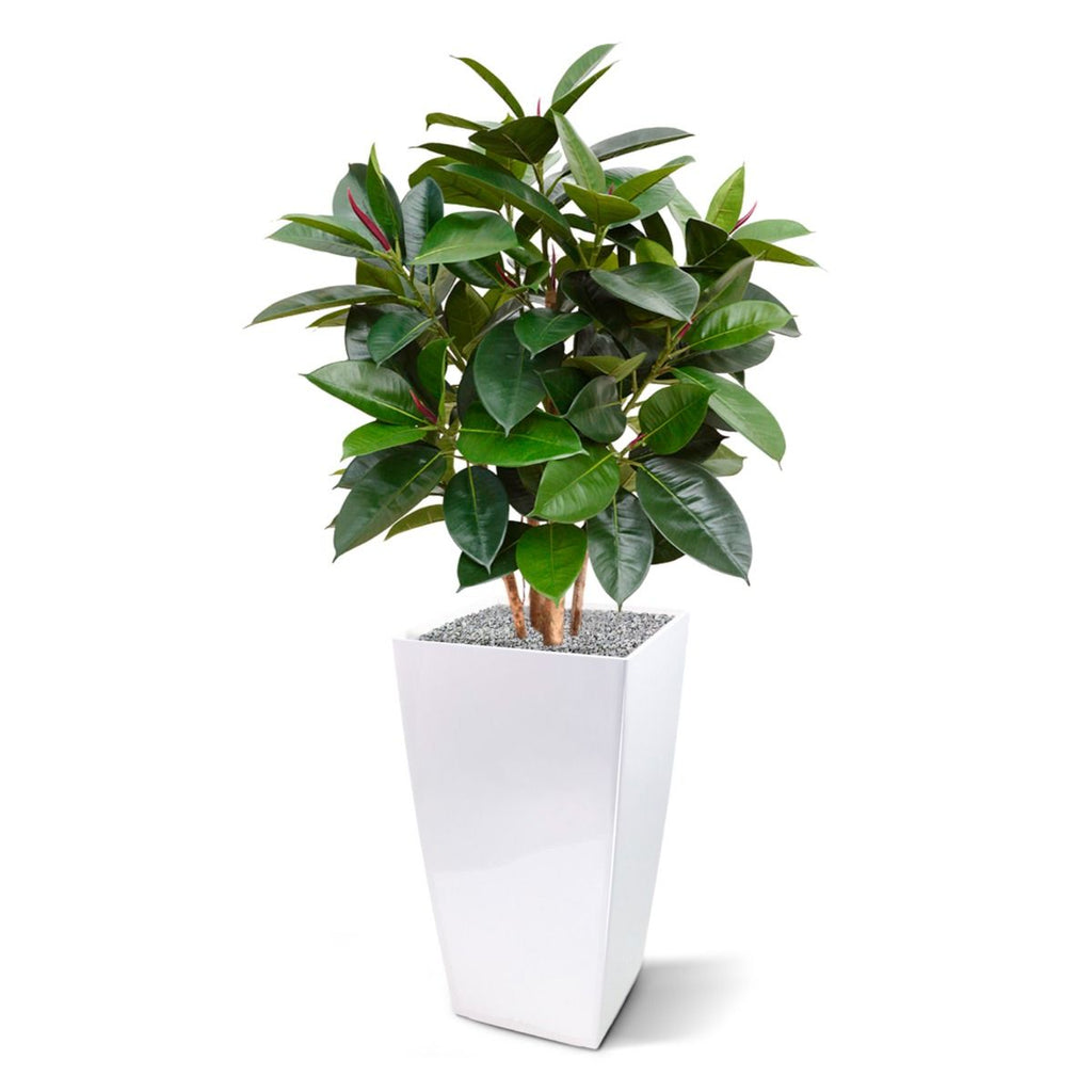 Elastica Robusta kunstplant 90cm - FR - brandvertragend