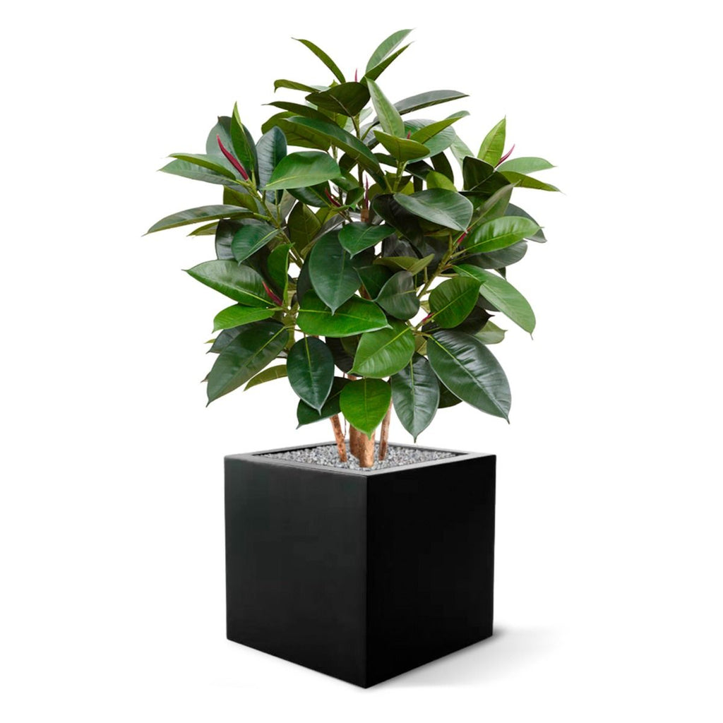 Elastica Robusta kunstplant 90cm - FR - brandvertragend