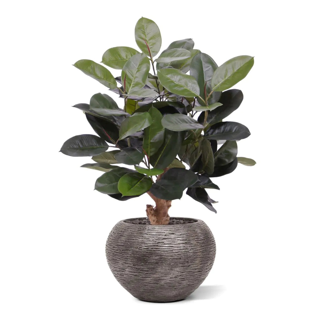 Elastica Robusta kunstplant 95cm groen