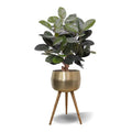 Elastica Robusta kunstplant 95cm groen