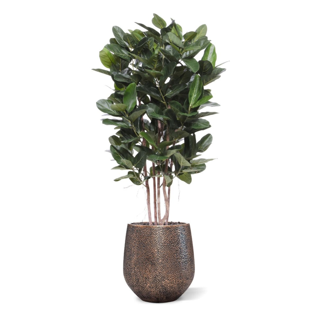 Ficus Audrey kolom Kunstplant Deluxe 155cm