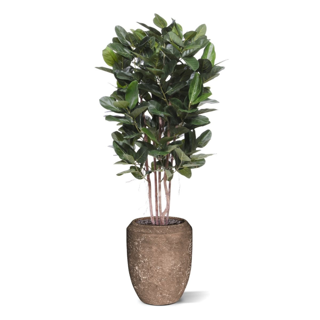 Ficus Audrey kolom Kunstplant Deluxe 155cm