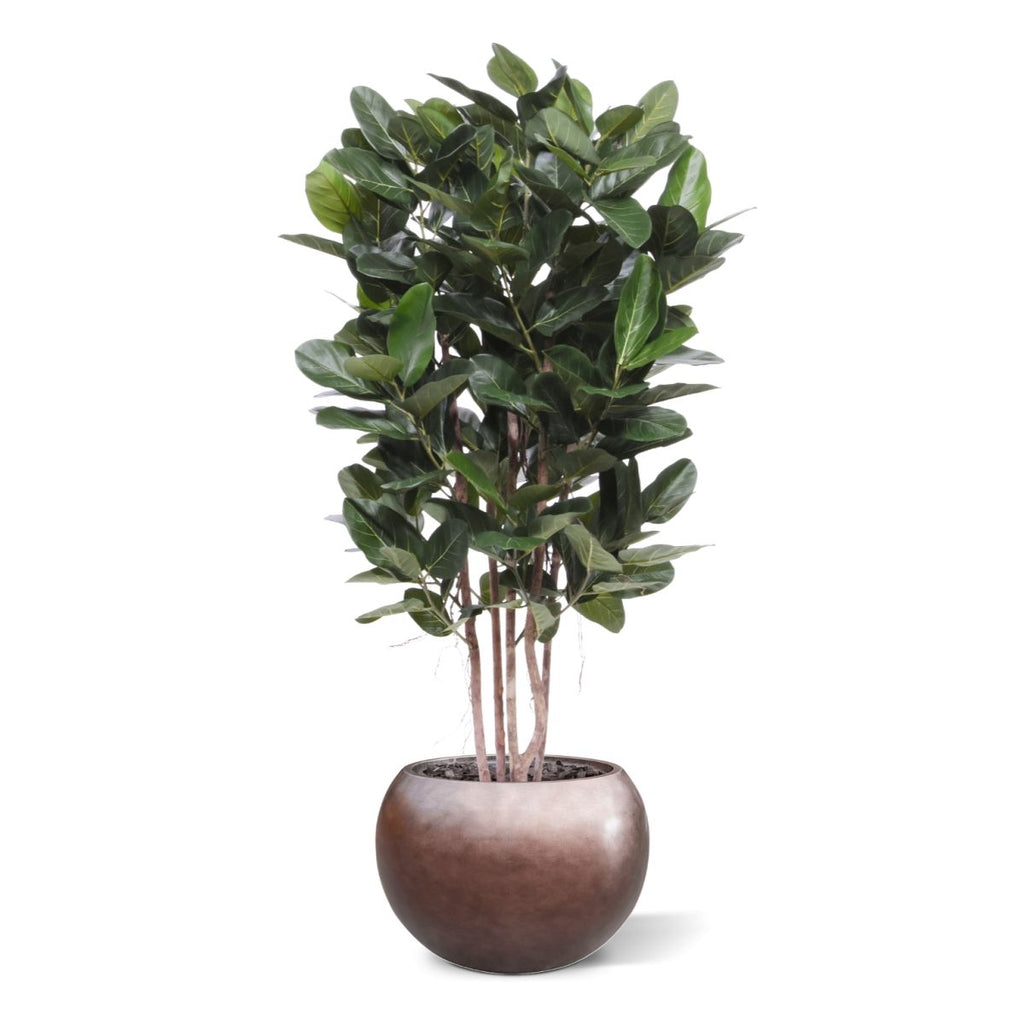 Ficus Audrey kolom Kunstplant Deluxe 155cm