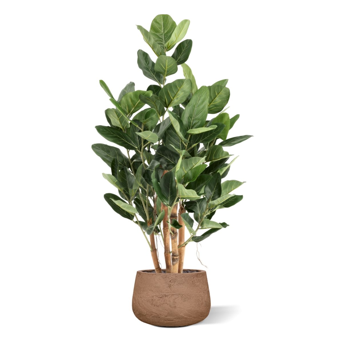 Ficus Audrey Kunstboom Deluxe 120cm