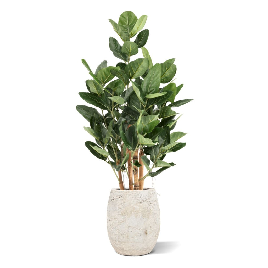 Ficus Audrey Kunstboom Deluxe 120cm