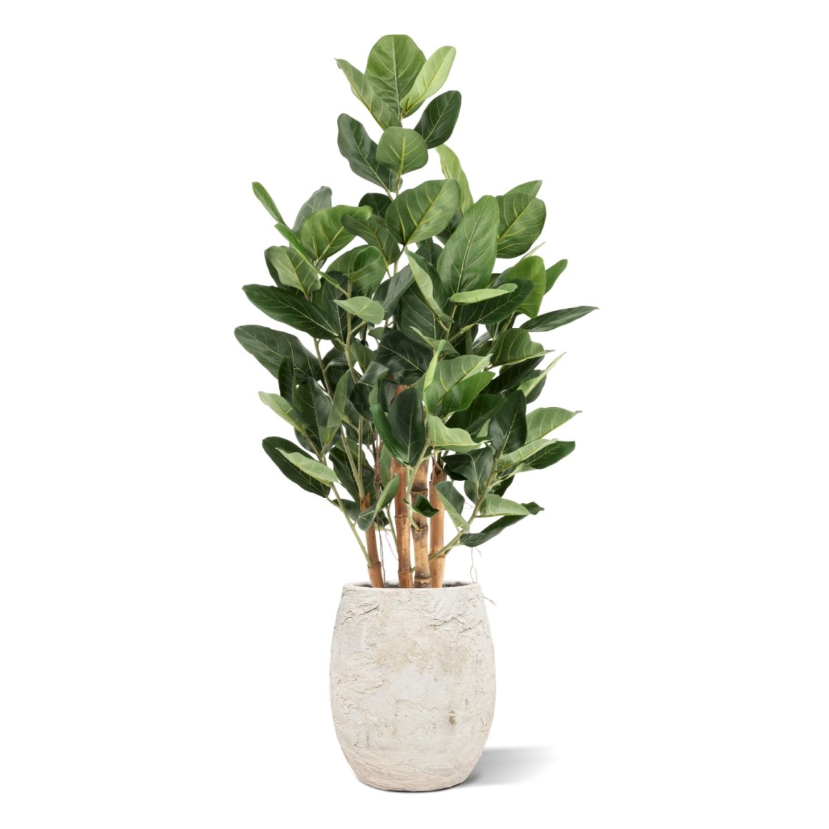 Ficus Audrey Kunstboom Deluxe 120cm