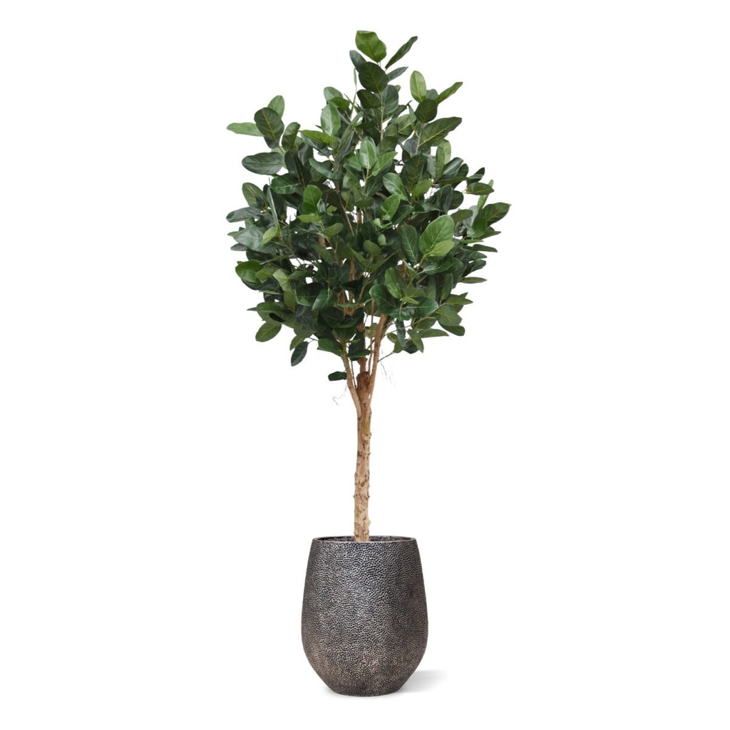 Ficus Audrey Kunstboom Deluxe 250cm