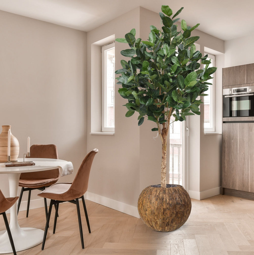 Ficus Audrey Kunstboom Deluxe 250cm