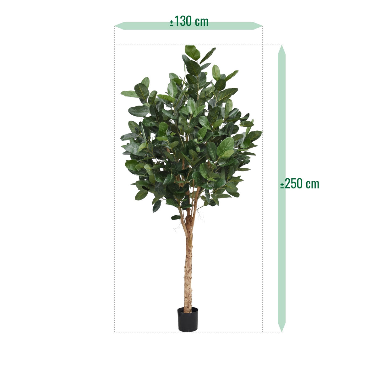 Ficus Audrey Kunstboom Deluxe 250cm